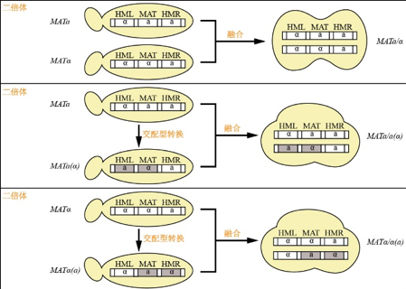 圖片 1.png